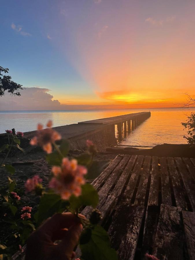 Blue Emocean Dive Resort Moyo Island Exterior foto